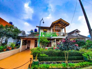 villa green aple cipanas puncak