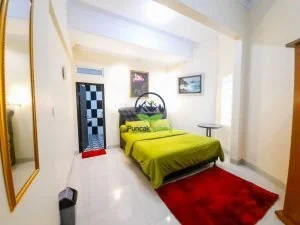 villa 101 cisarua