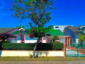 Villa green aple cipanas