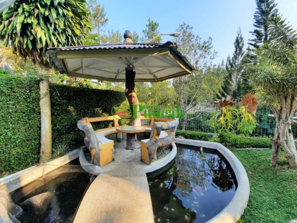 Villa Bintang Kota bunga