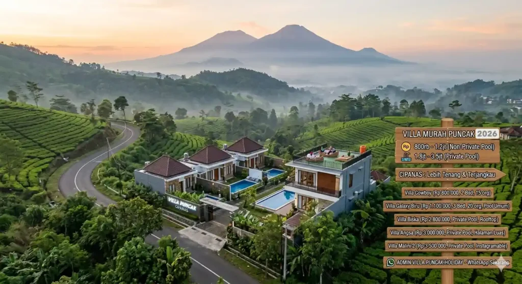 villa honeymoon di kota bunga villa murah di puncak