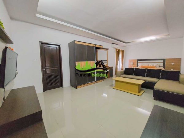 villa alin