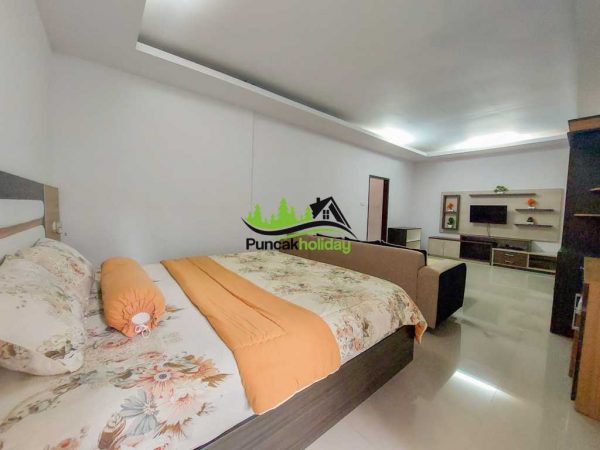 villa alin