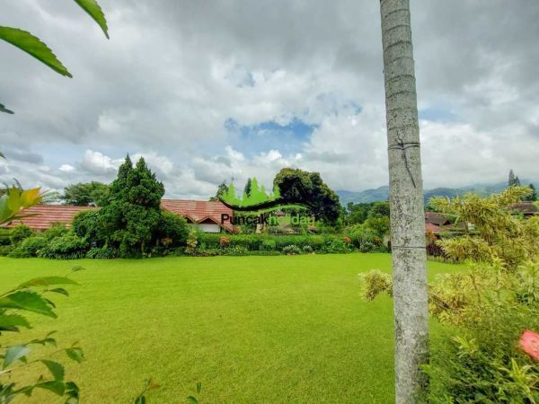 villa 207 cisarua