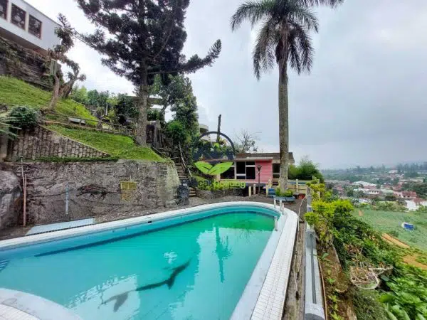 villa nadine villa nadine