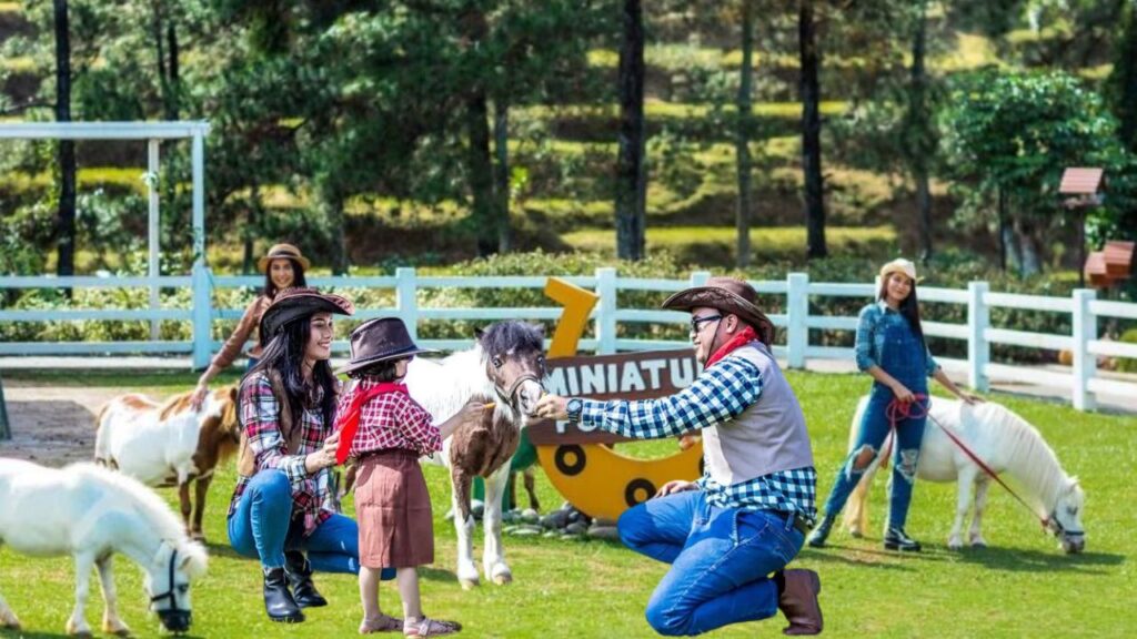 cimory dairyland cimory dairyland