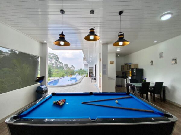 Villa Vinesa billiard villa vinesa puncak
