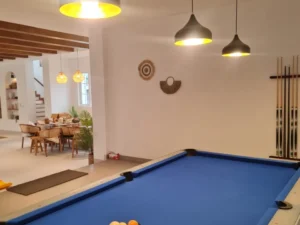 billiard villa sellyna puncak
