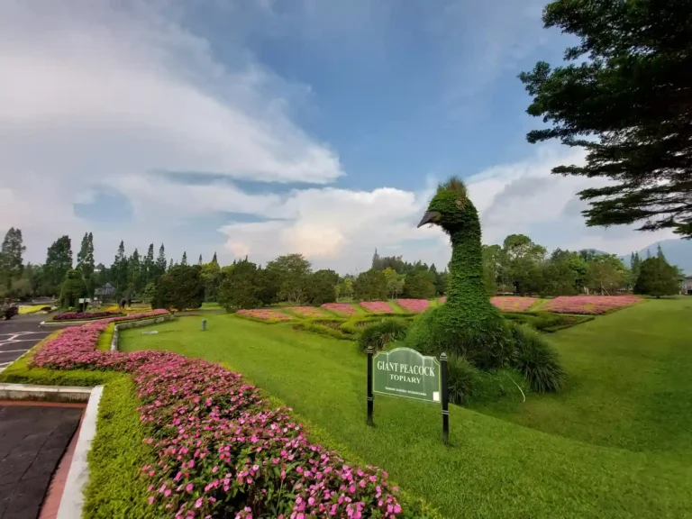villa dekat kebun raya cibodas Villa Dekat Taman Bunga Nusantara: Pilihan Terbaik untuk Liburan Keluarga