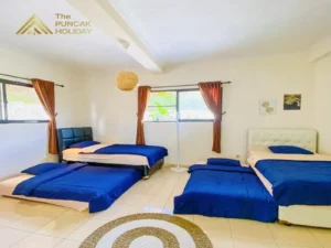 Villa Zain cisaura