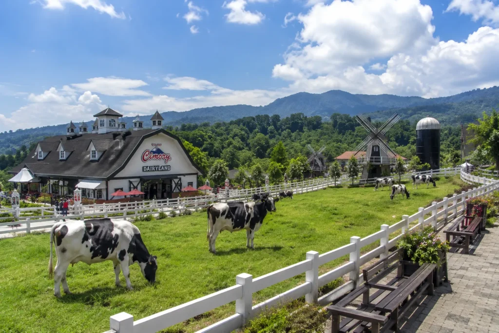 cimory dairyland puncak cisarua